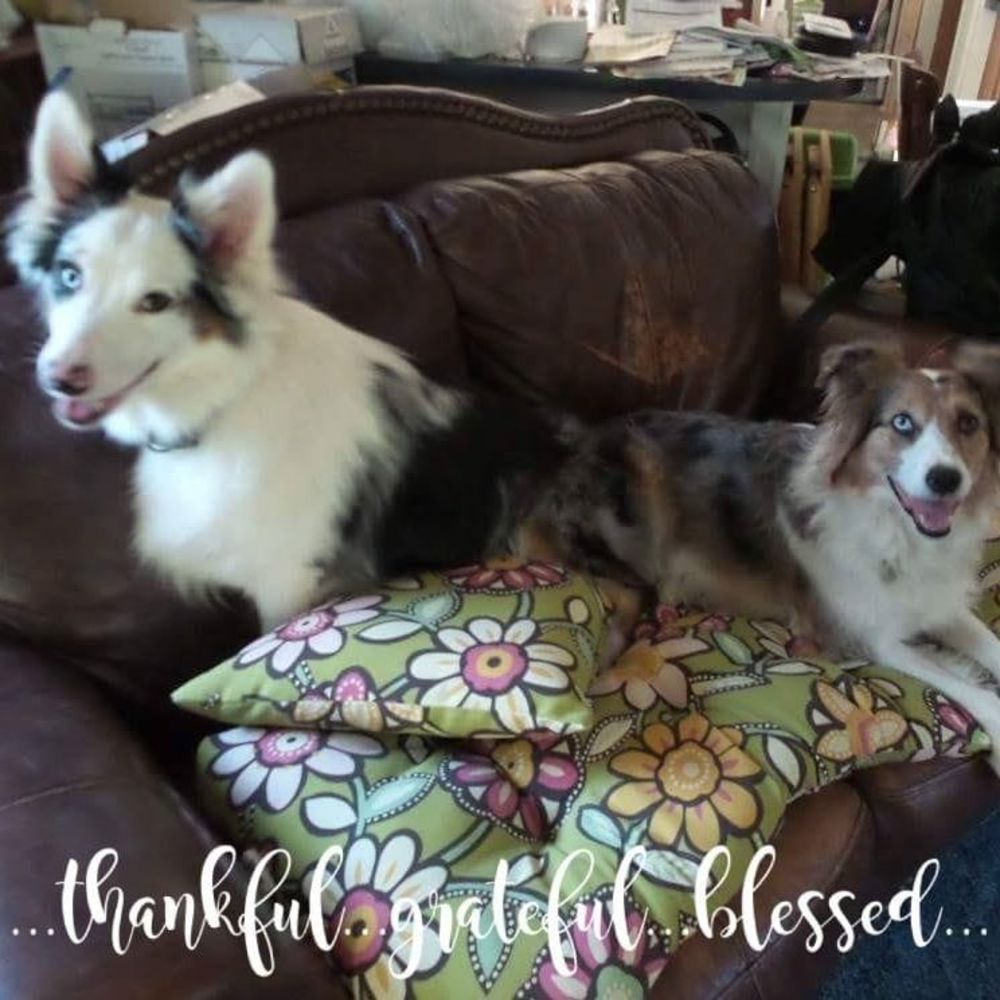 Meet your Posher, Ta